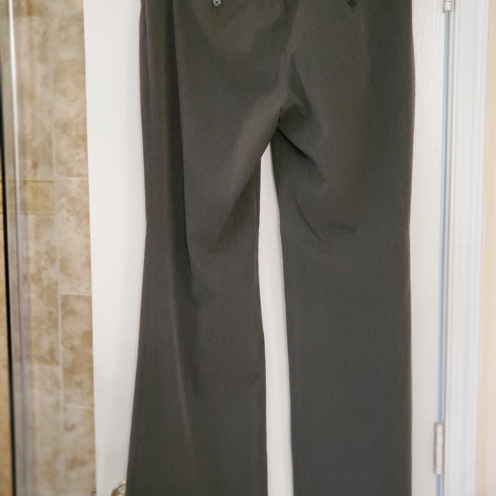 Express Dress Pants